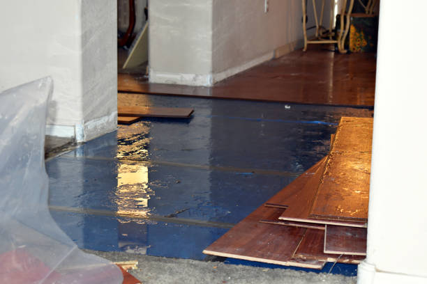 Professional Basement Flood Cleanup technician working in Valley Head, AL